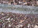 image of grave number 366183